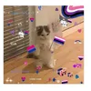 mayalgbt58