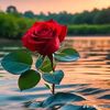 user1918528212127