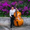 cynth.bass