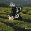 sedro_fukil