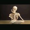 fikry.bone