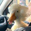 duckingcute20