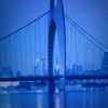 Movie_Lz0411