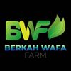 Berkah Wafa Store