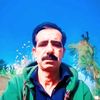 user2278069516269