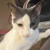 jacobt_772