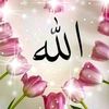 zozahmad693