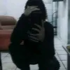 renan_higor_oficial