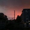 rose_16720
