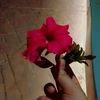 user79721816181818