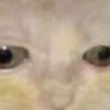 kirby_wantsomesushi