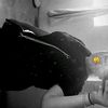 yorley.quintero