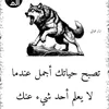 sarafadil02