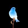 mohamadmohamad9427