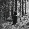evigtvintermorker