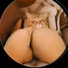 user8632258452044