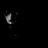 user_01983022
