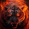 muhammadsahrul6724