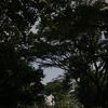 adellia_0128