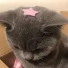 tyennhi__