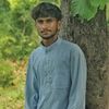 honestboy388