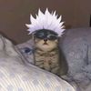 saxx_1415