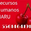 rhpromotoria1