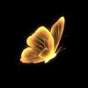 _goldie_13