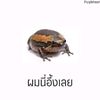 kavin_2559