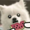 wo_ai_ni855