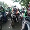 lesmanadendi12