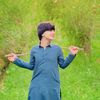 hajizahid446