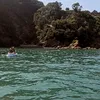 lily_6592