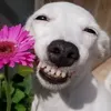ngminhtam69
