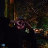 urs_818