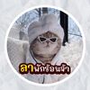 sayhii717