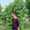 nikesh7801