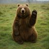 thebear6000