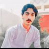 nasir.khan6856