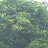 user832161611705