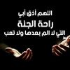 user87011338191443