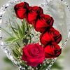 silva.abgaryan