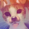 0_sarah5