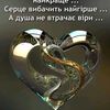 user61554519663926