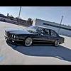 alp_19828