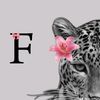fadumo.cumar587