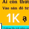 dogiadung567890