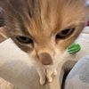 caitlin_0715