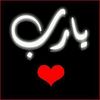 shwqyh.elmansy