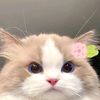 ikyyy5726